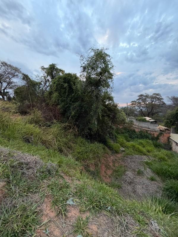 Lote, Liberdade, 0 Quarto, 0 Vaga
