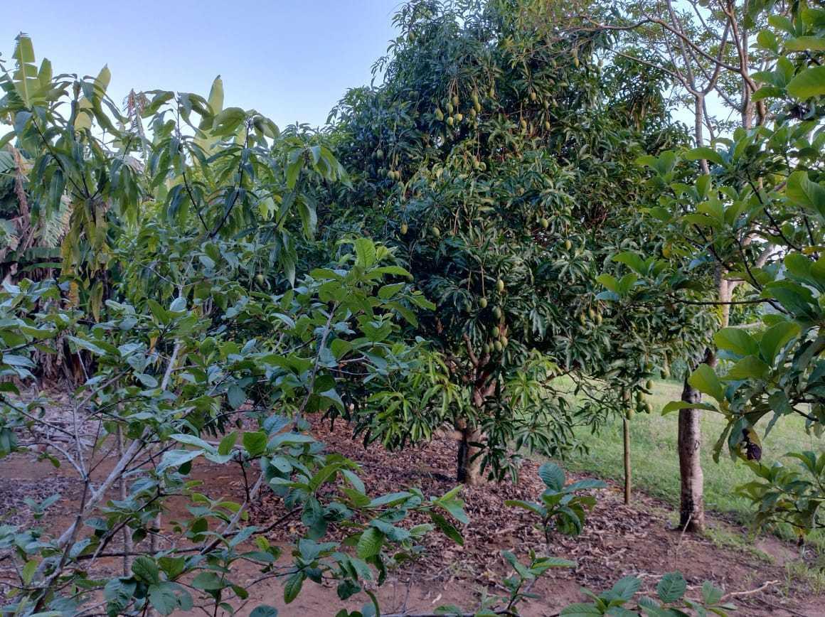 Fazenda, Zona Rural, 3 Quartos, 2 Vagas, 2 Suítes