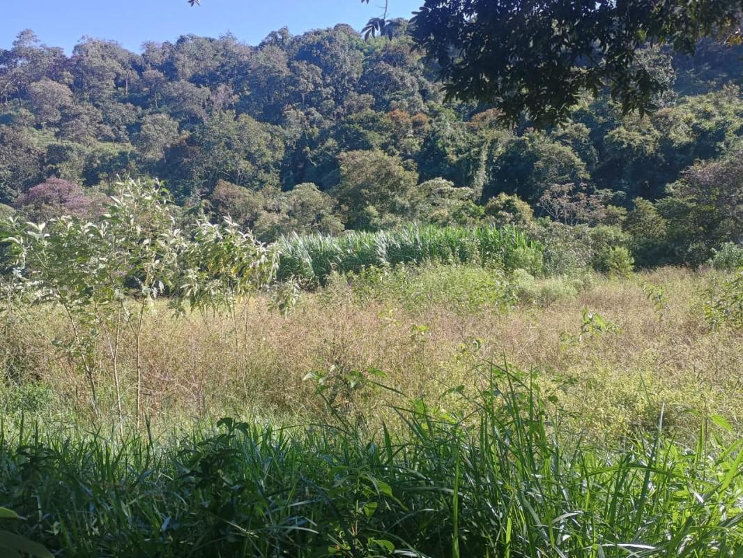 Fazenda, Zona Rural, 2 Quartos, 0 Vaga