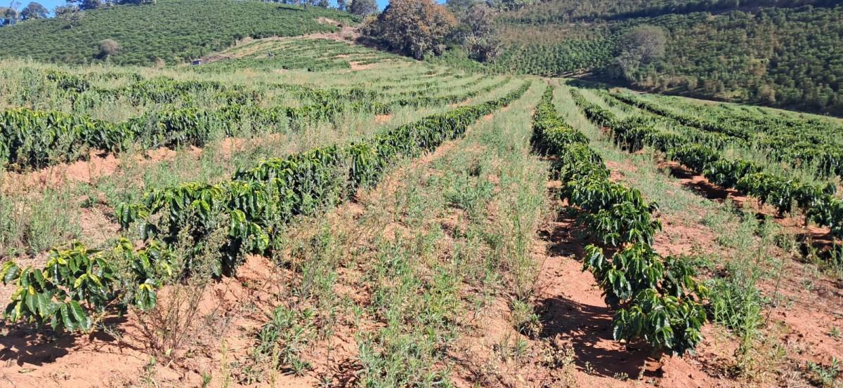 Fazenda, Zona Rural, 0 Quarto, 0 Vaga