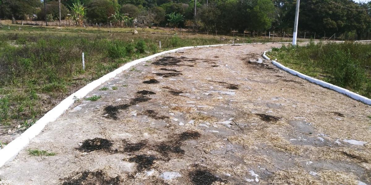 Lote, São José, 0 Quarto, 4 Vagas