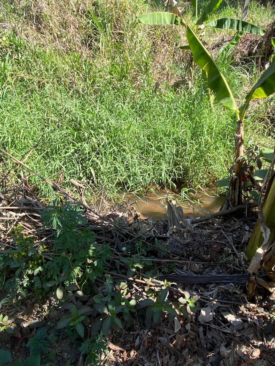 Fazenda, Vianópolis, 3 Quartos, 2 Vagas