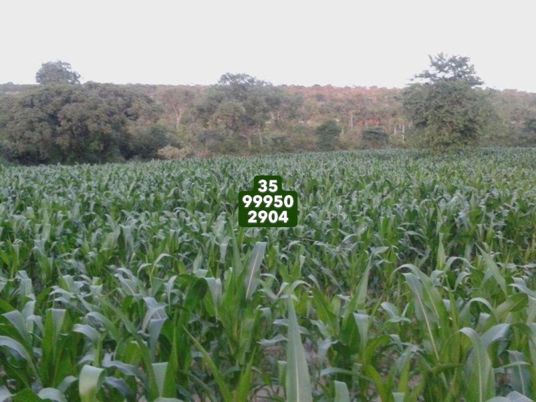 Fazenda, Zona Rural, 0 Quarto, 0 Vaga
