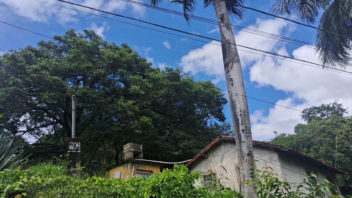 Lote, Parque Jardim Encantado, 0 Quarto, 0 Vaga
