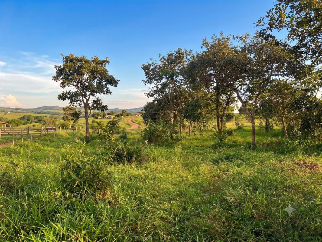 Lote, Vargem Bento da Costa, 0 Quarto, 0 Vaga