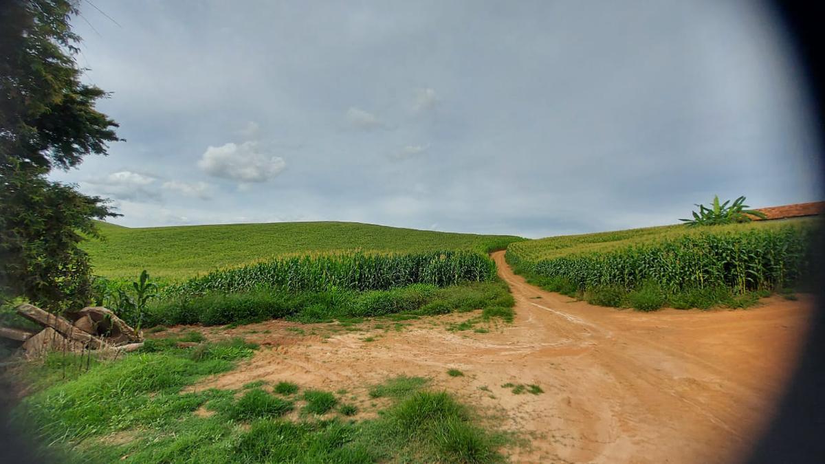 Fazenda, Zona Rural, 2 Quartos, 0 Vaga