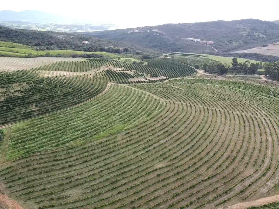 Fazenda, Zona Rural, 0 Quarto, 0 Vaga