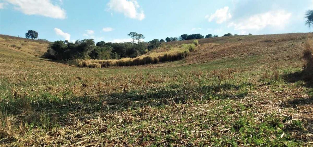 Fazenda, Zona Rural, 3 Quartos, 0 Vaga