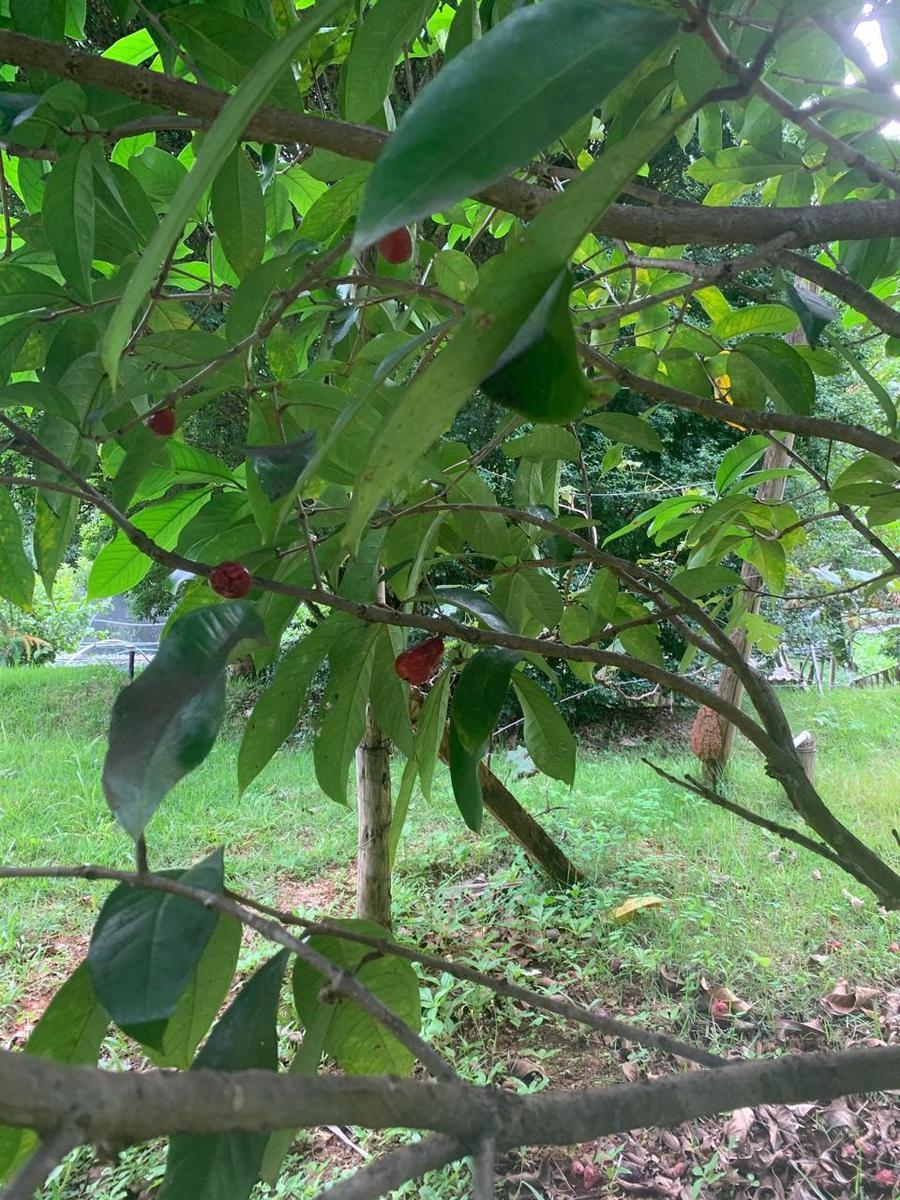 Fazenda, Ravena, 4 Quartos, 10 Vagas, 1 Suíte