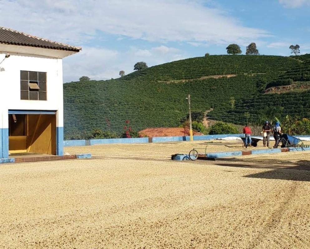 Fazenda, Zona Rural, 0 Quarto, 0 Vaga