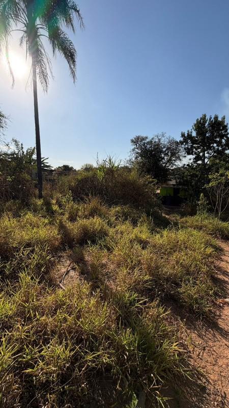 Lote, Centro, 0 Quarto, 0 Vaga