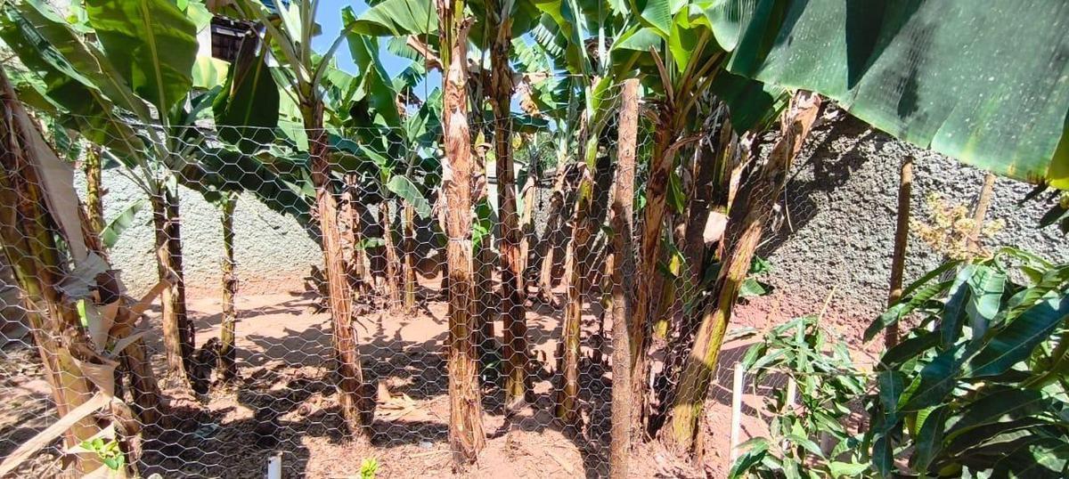 Lote, São Bernardo, 0 Quarto, 0 Vaga