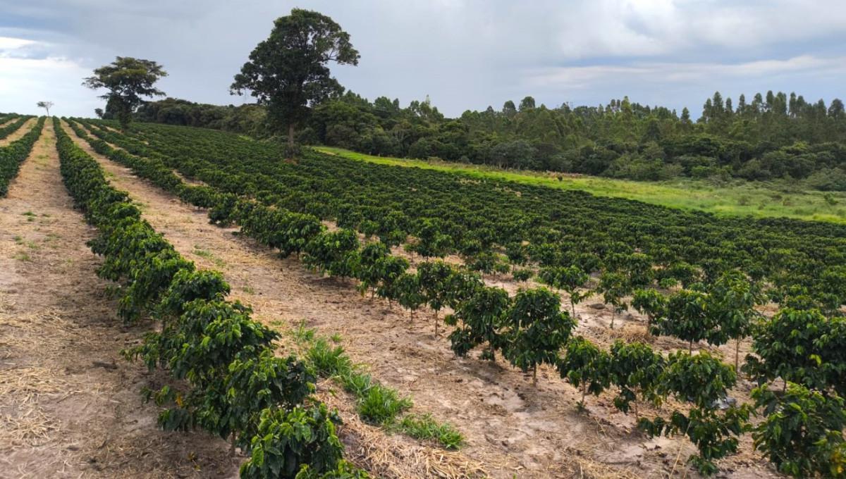 Fazenda, Zona Rural, 0 Quarto, 0 Vaga