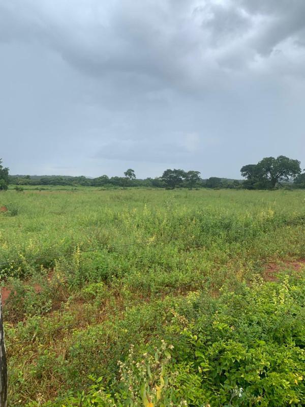 Fazenda, Zona Rural, 0 Quarto, 0 Vaga