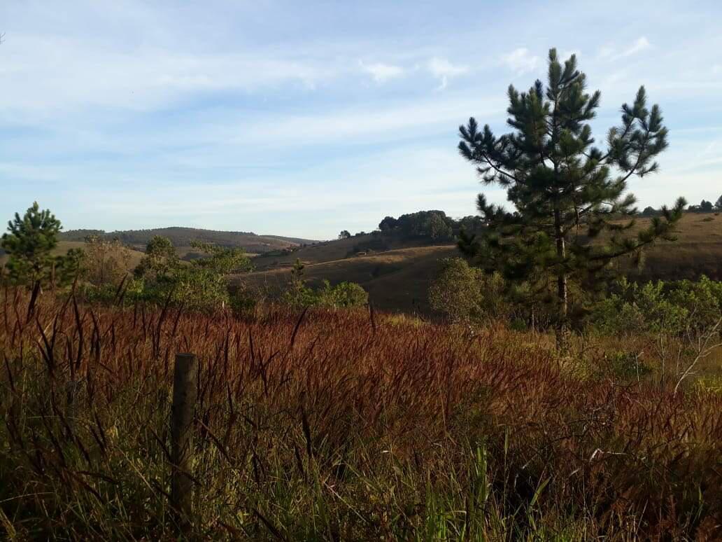 Lote, Vale dos Pinhais, 0 Quarto, 0 Vaga