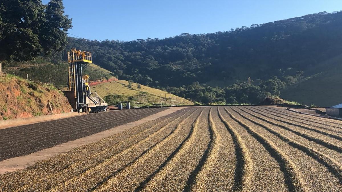 Fazenda, Zona Rural, 0 Quarto, 0 Vaga