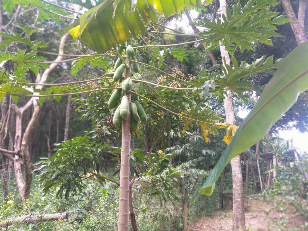 Fazenda, Ravena, 3 Quartos, 10 Vagas, 1 Suíte