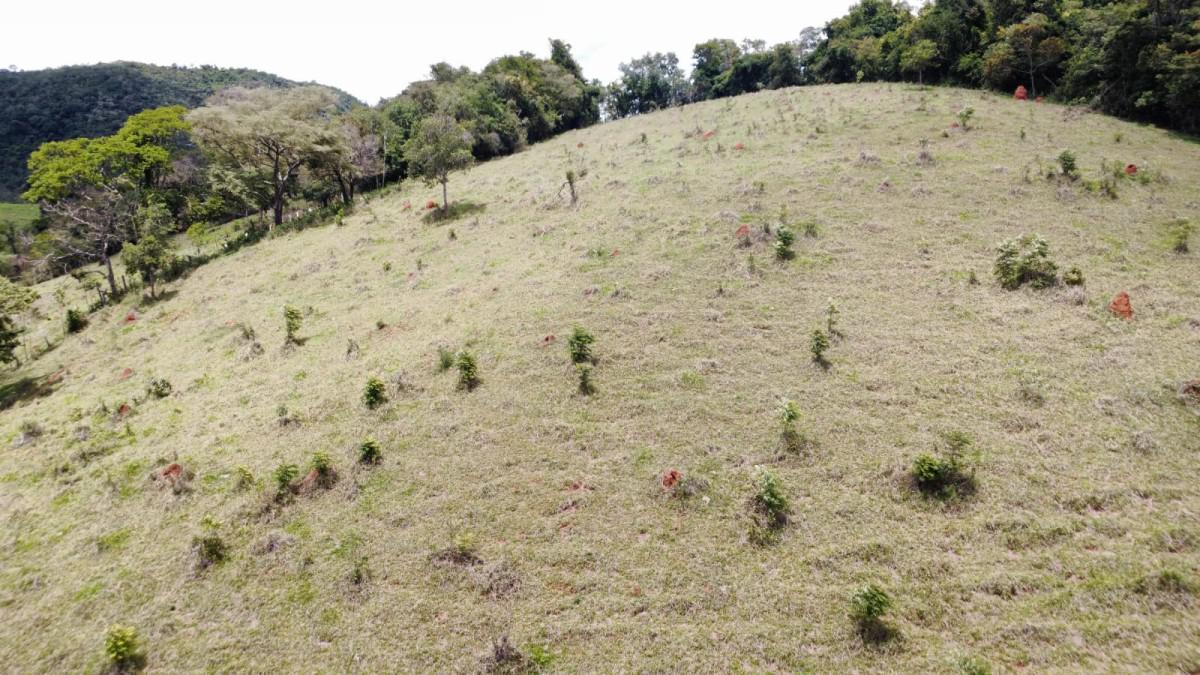 Fazenda, Centro, 0 Quarto, 0 Vaga