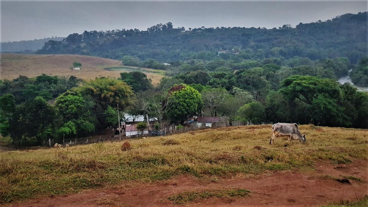 Lote, Centro, 1 Quarto, 1 Vaga