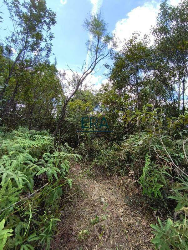 Lote, Parque do Engenho, 0 Quarto, 0 Vaga