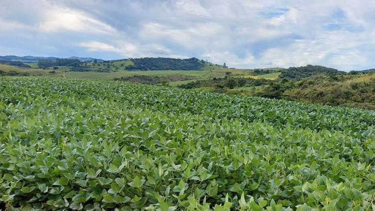 Fazenda, Zona Rural, 3 Quartos, 0 Vaga