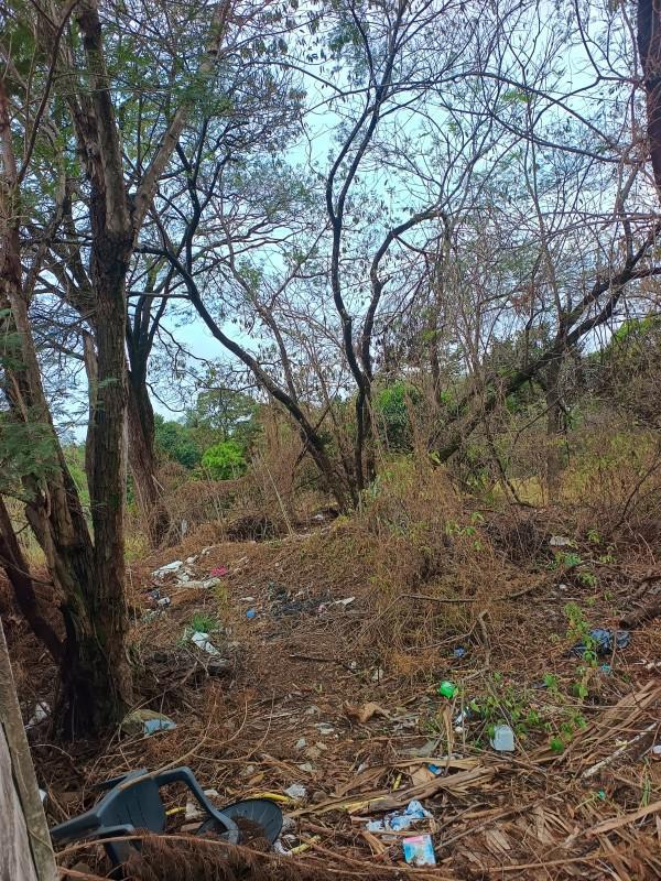 Lote, Praia, 0 Quarto, 0 Vaga