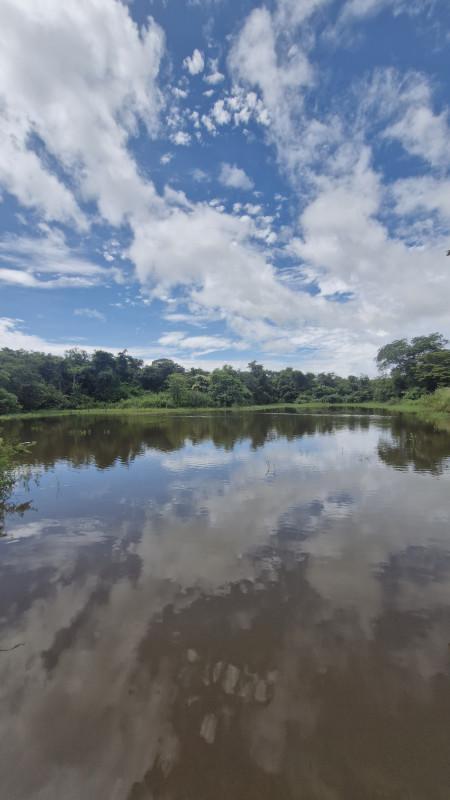 Fazenda, Centro, 0 Quarto, 0 Vaga