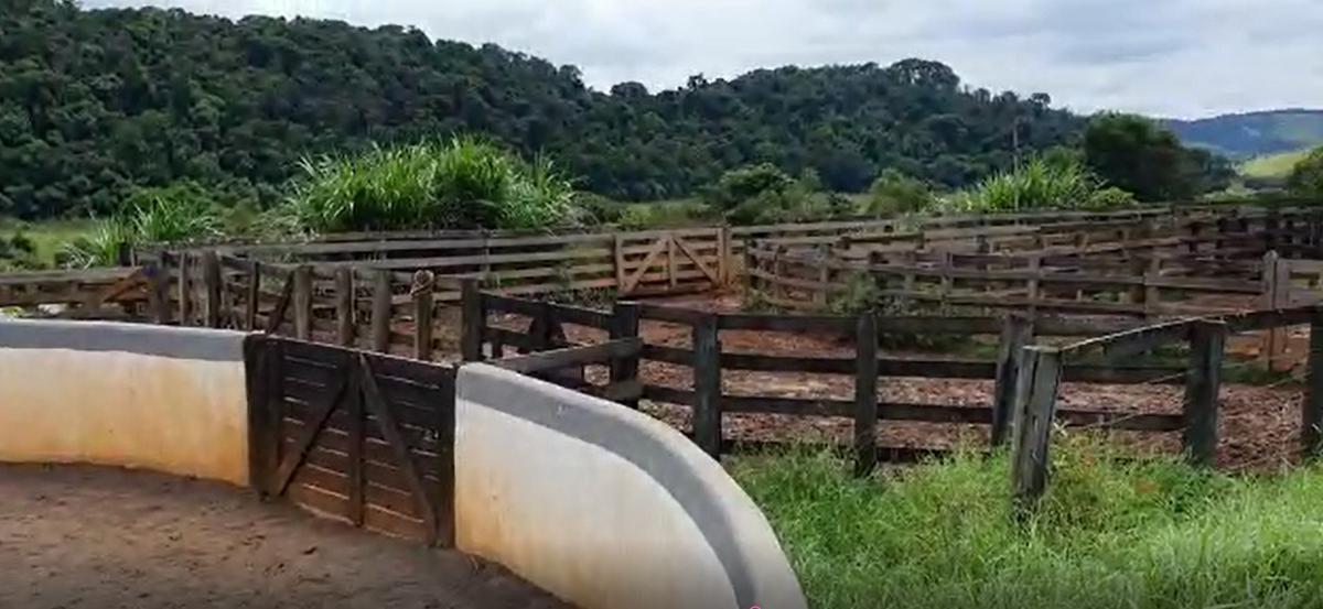 Fazenda, Centro, 4 Quartos, 2 Vagas, 1 Suíte
