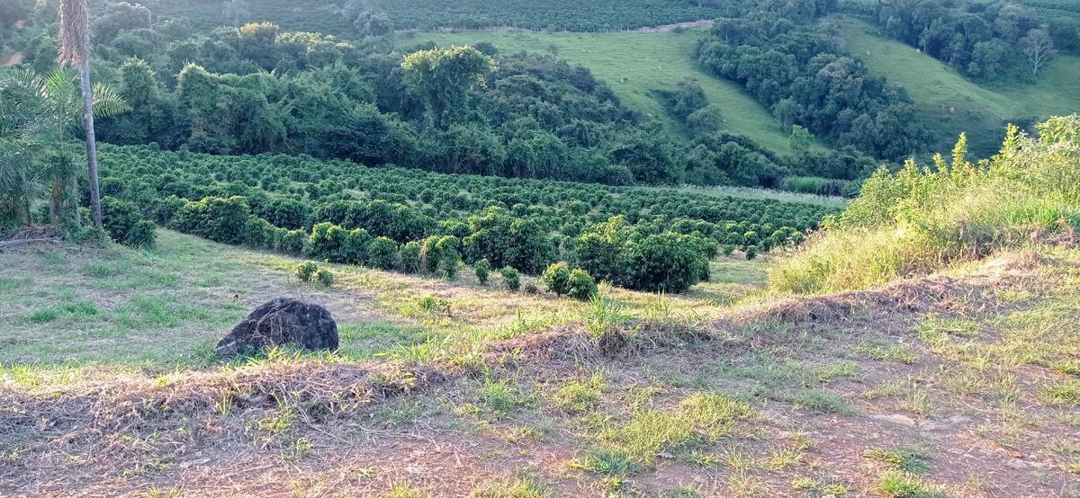 Fazenda, Zona Rural, 4 Quartos, 4 Vagas, 1 Suíte
