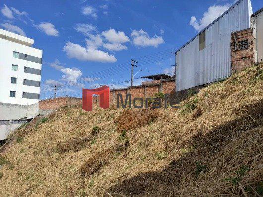 Lote, Santa Cruz, 0 Quarto, 0 Vaga