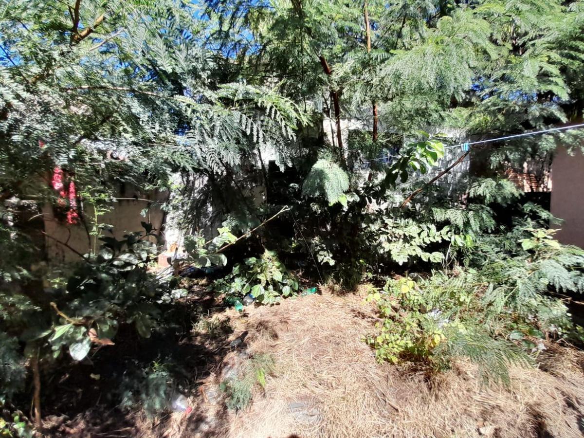 Lote, Ipiranga, 0 Quarto, 0 Vaga