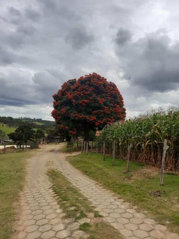 Fazenda, Centro, 4 Quartos, 0 Vaga