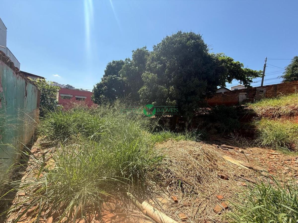 Lote, Universitário, 0 Quarto, 0 Vaga