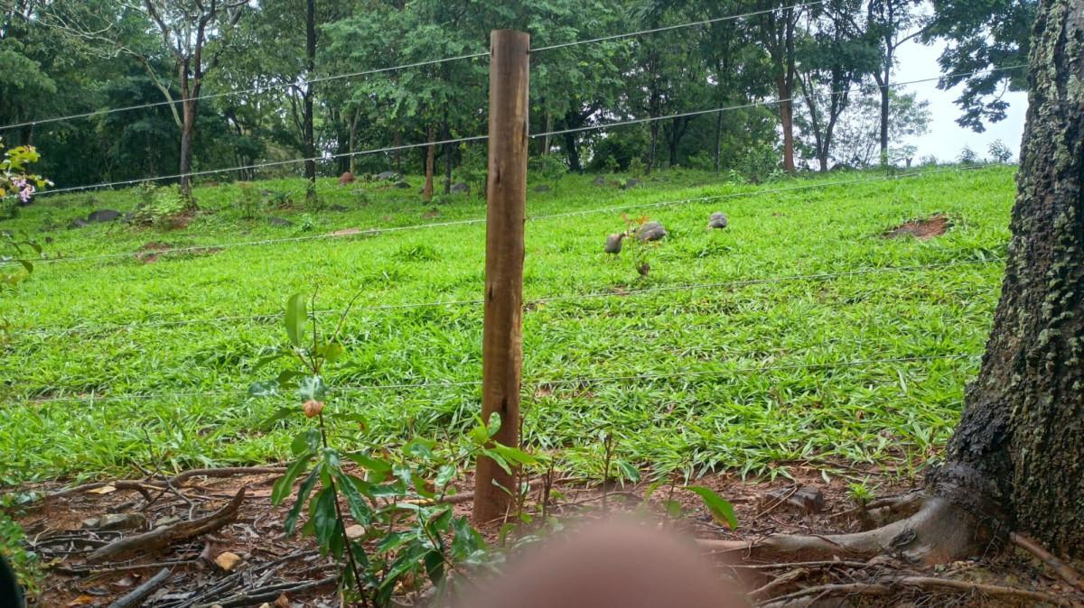 Fazenda, Centro, 3 Quartos, 100 Vagas