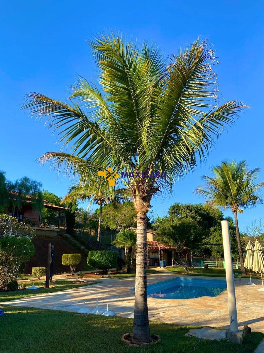 Casa, Tavares, 4 Quartos, 15 Vagas, 2 Suítes