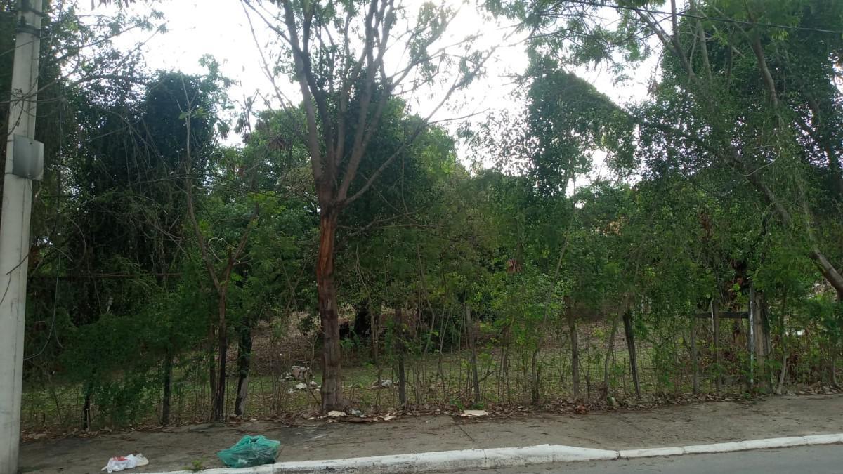 Lote, Bom Retiro, 0 Quarto, 0 Vaga