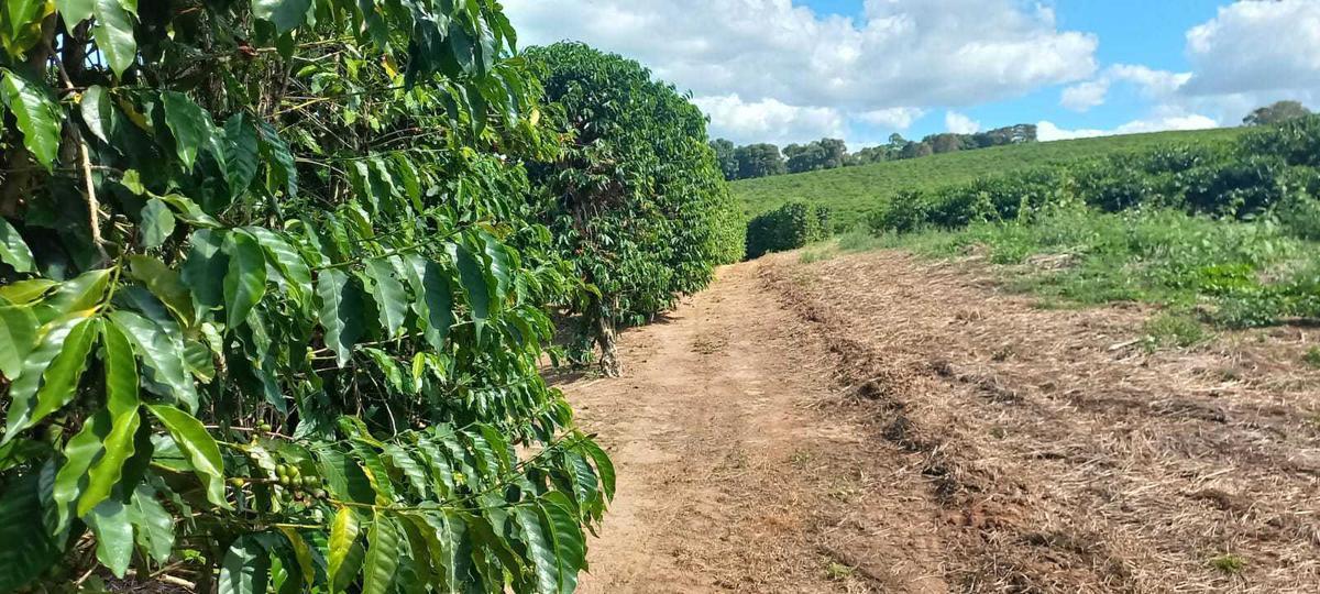 Fazenda, Zona Rural, 4 Quartos, 0 Vaga