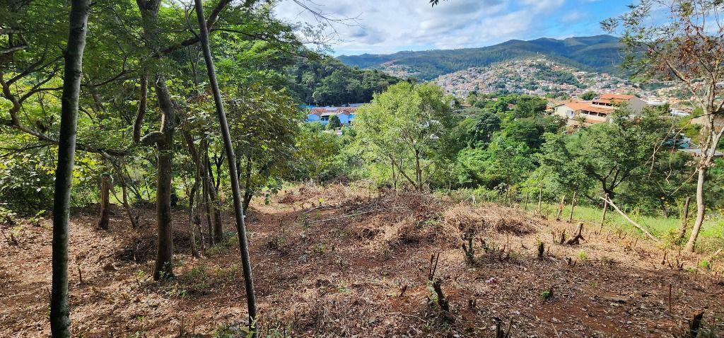 Lote, Terra Santa, 0 Quarto, 0 Vaga