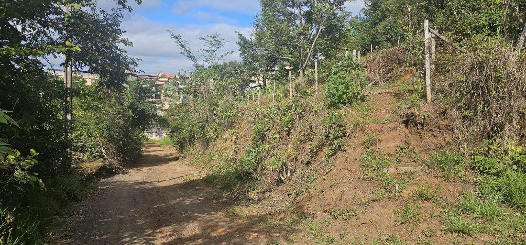 Lote, Terra Santa, 0 Quarto, 0 Vaga
