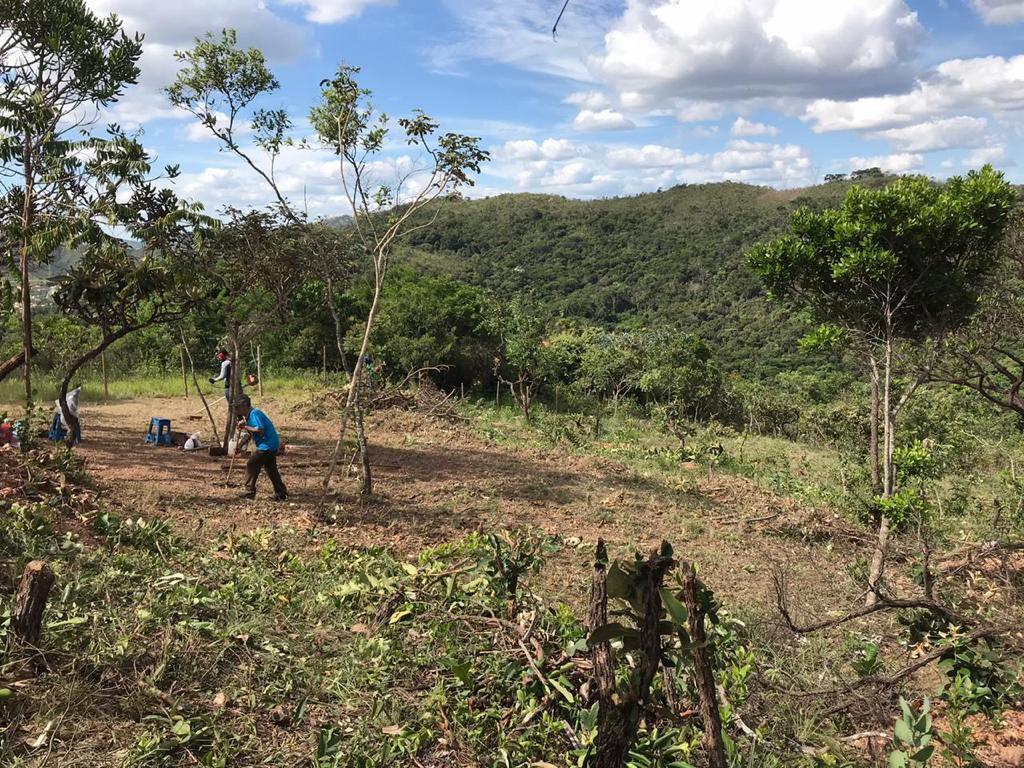 Lote, Arraial Velho, 0 Quarto, 0 Vaga
