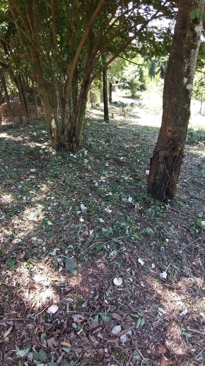 Lote, Solar do Madeira, 0 Quarto, 0 Vaga