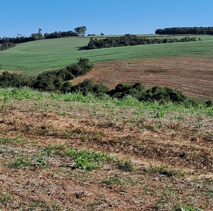 Fazenda, Zona Rural, 0 Quarto, 0 Vaga