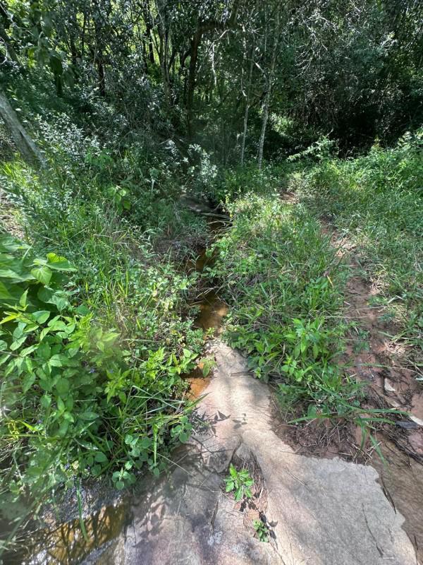 Fazenda, Centro, 0 Quarto, 0 Vaga