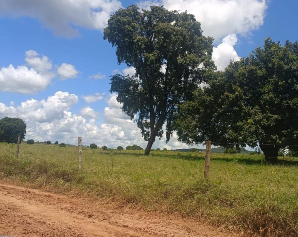 Fazenda, Zona Rural, 0 Quarto, 0 Vaga