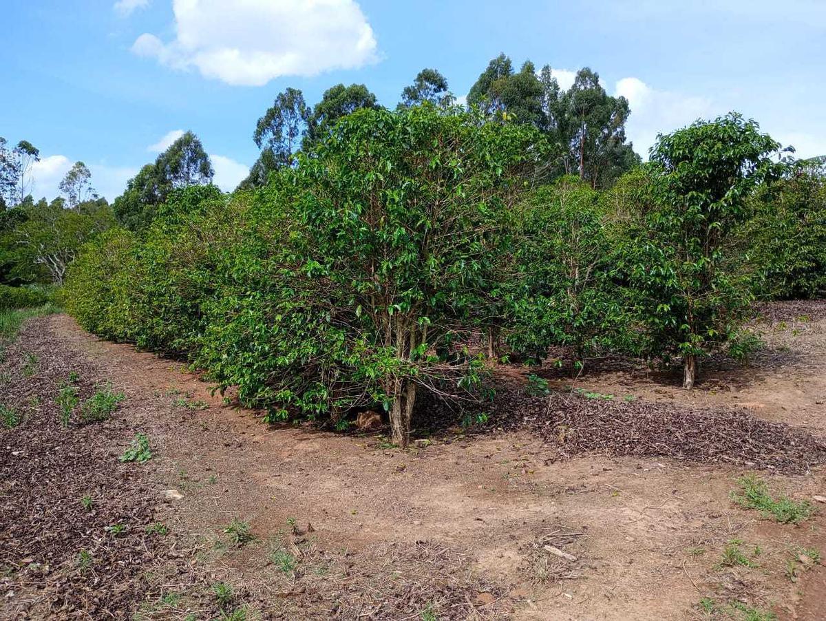 Fazenda, Zona Rural, 1 Quarto, 0 Vaga