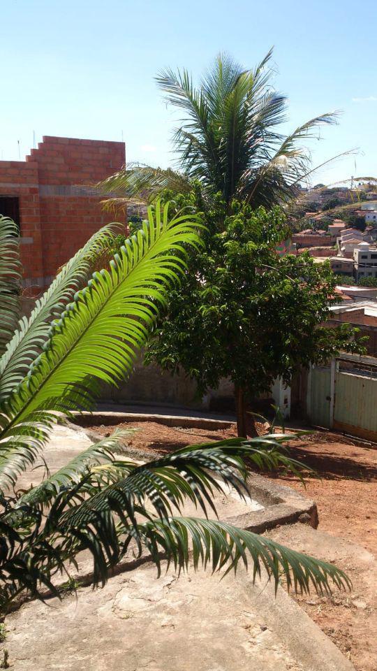 Casa, Céu Azul, 5 Quartos, 3 Vagas, 1 Suíte