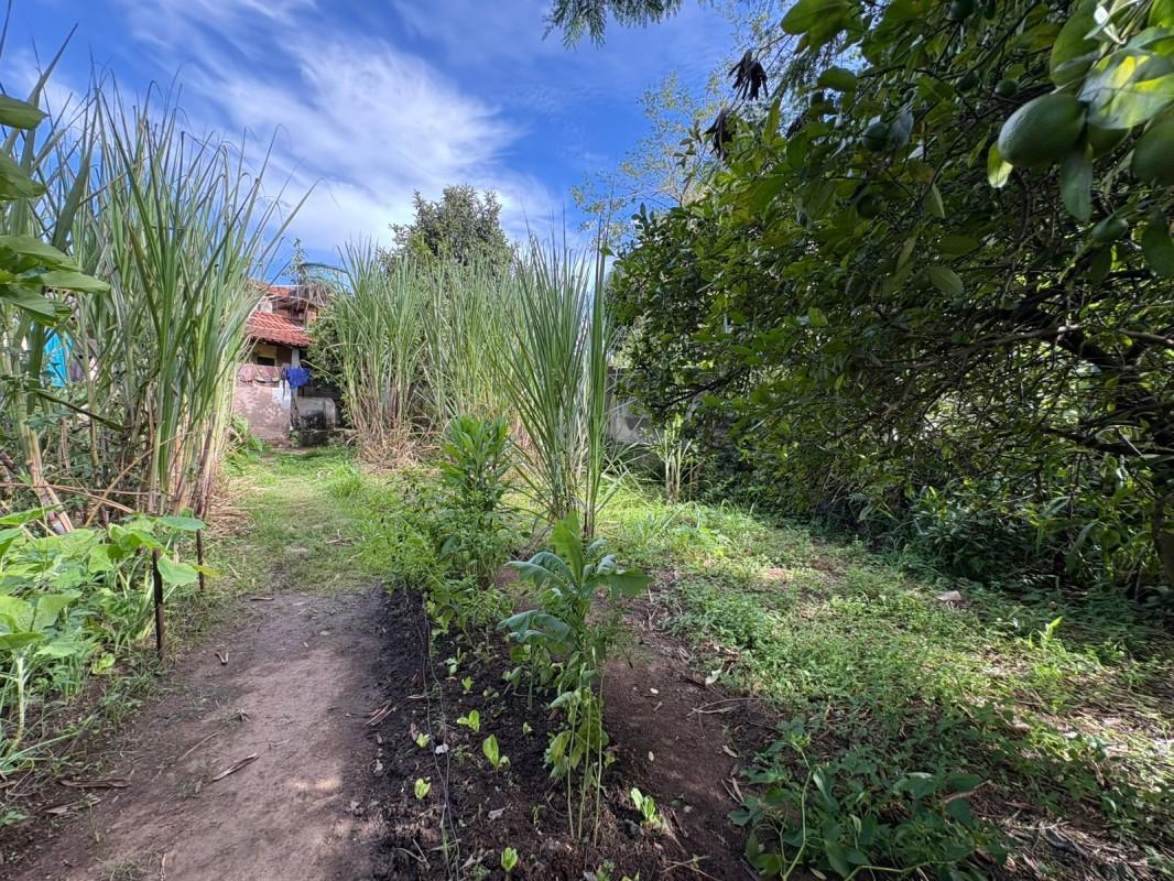 Fazenda, Bom Jardim, 0 Quarto, 0 Vaga