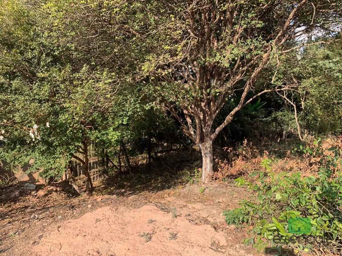 Lote, Tijuca, 0 Quarto, 0 Vaga