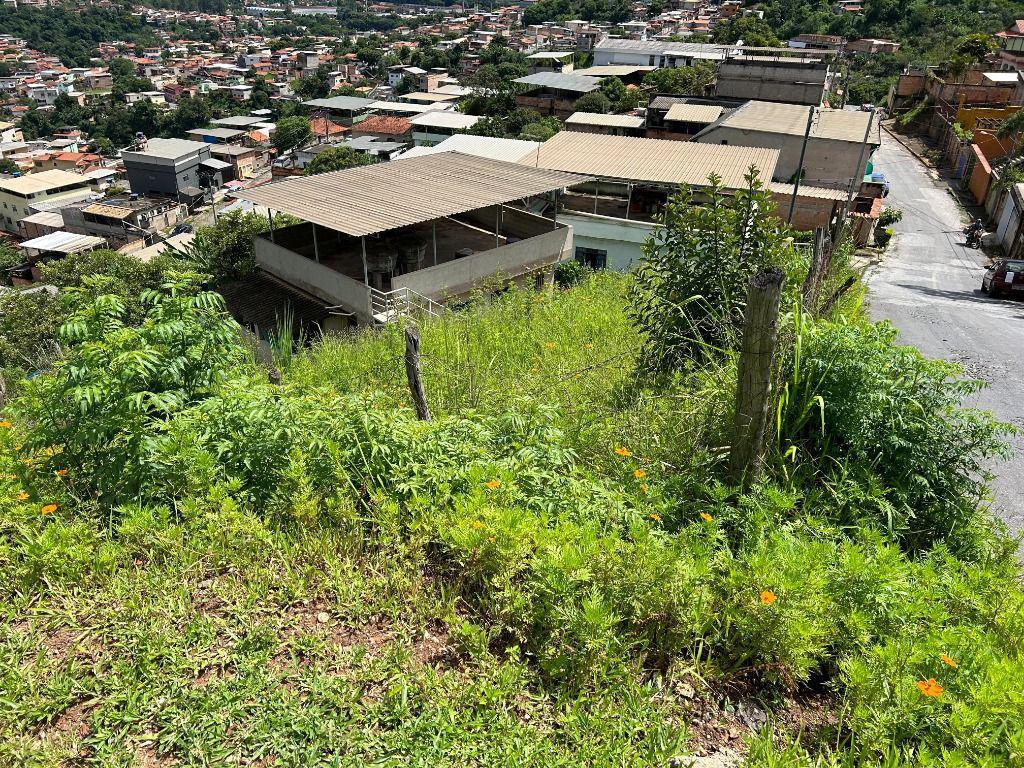 Lote, Vila Santo Antônio de Pádua, 0 Quarto, 0 Vaga