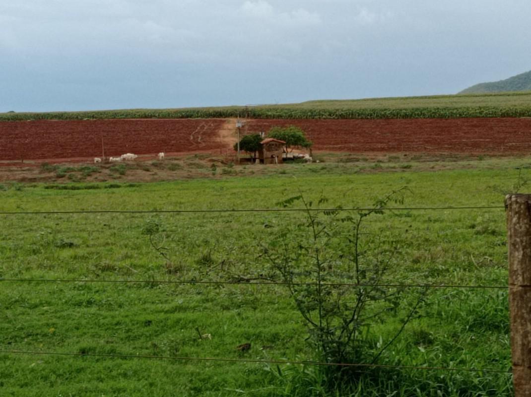 Fazenda, Zona Rural, 0 Quarto, 0 Vaga
